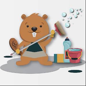 Beaver Maids Beaver Maids